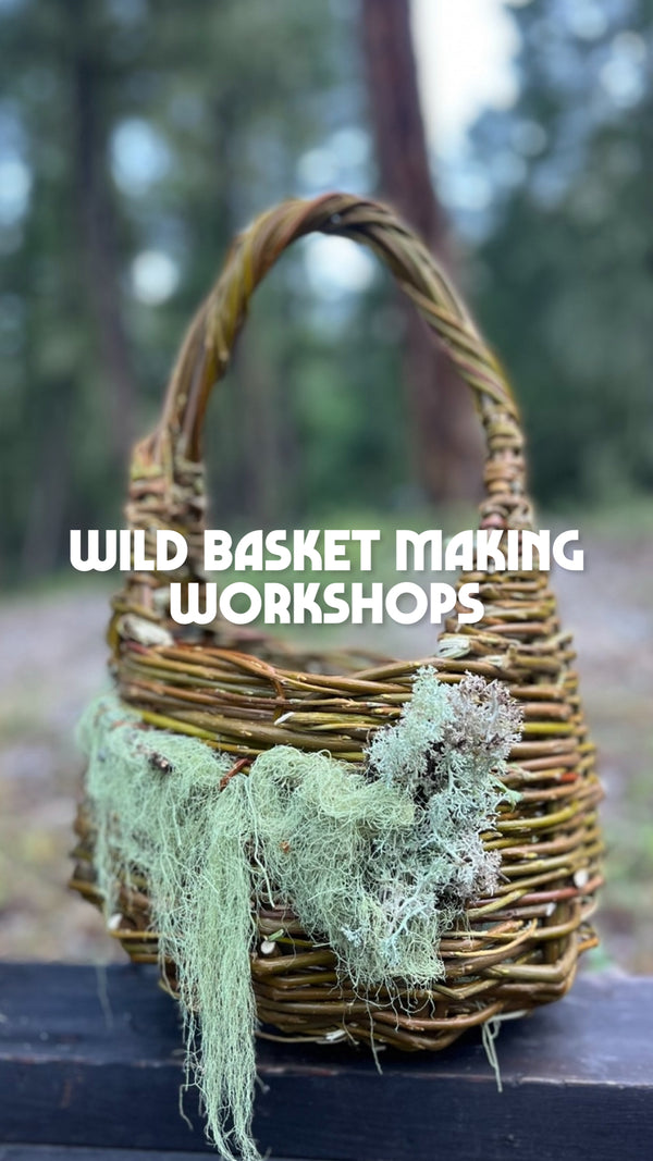Wild Basket Making Workshop