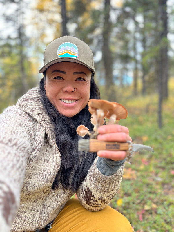 Mushroom Hunting And Foraging