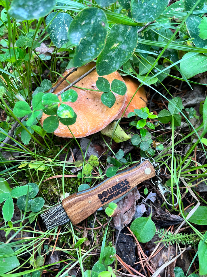 Forager Essentials Kit/ Mushroom Forage Knife – BownessSoapworks